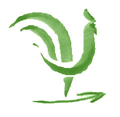 00 Logo Bruno Vert Flêche En Haut
