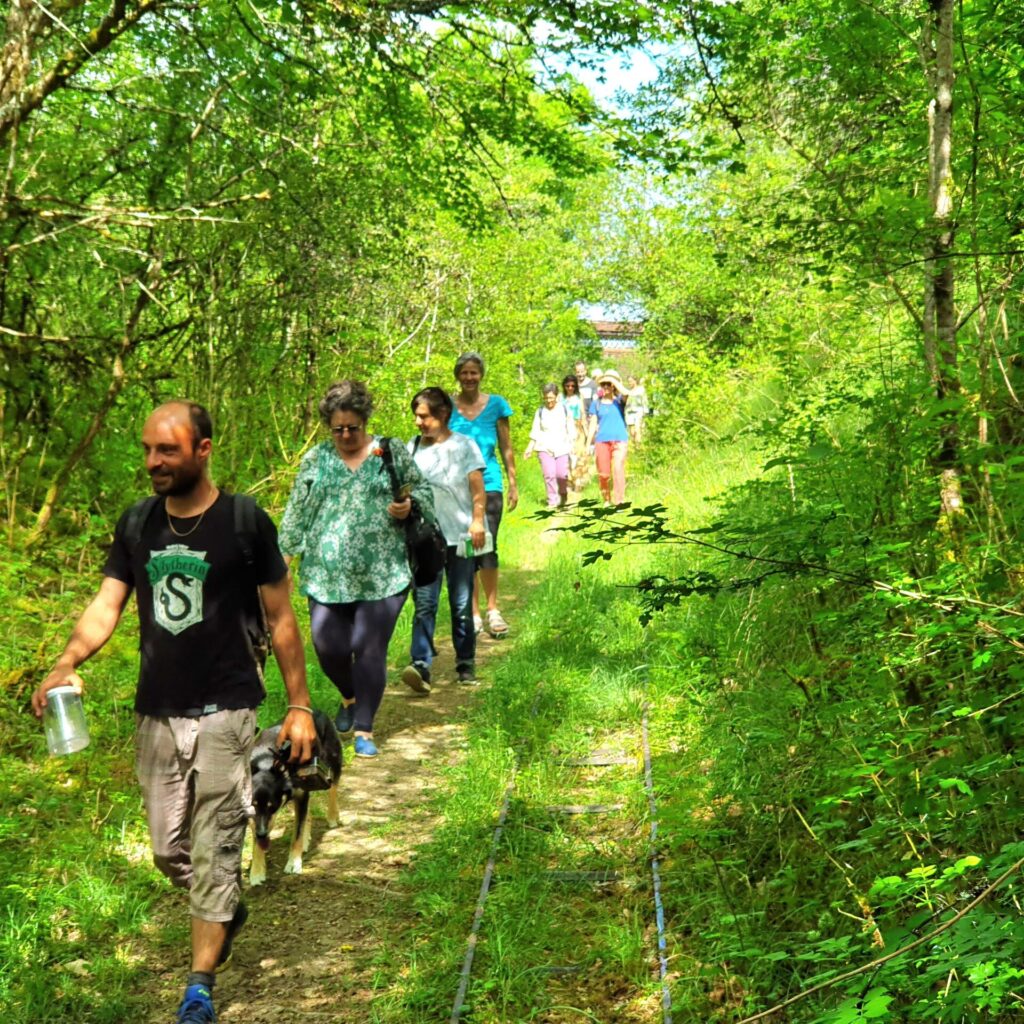 Groupe marchant dans un sentier forestier ensoleillé.